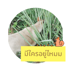 Alice_20221002123304