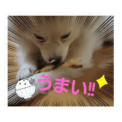 YUN_20221002175407