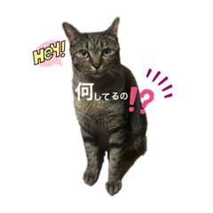 sayuri_20221003101020