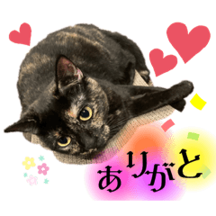 aoi_20221003003956