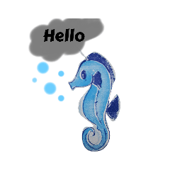 seahorse_20221002201849