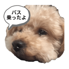 RINA_20221003001549