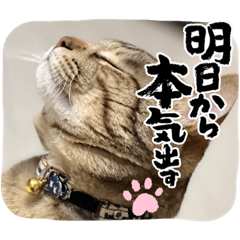 azuchiiin_20221002192815