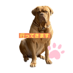 rinrin_20221002205100