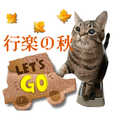 miko_20221003124428