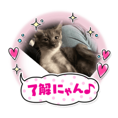 Mizuki_20221002223218