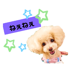 rina_20221002222746