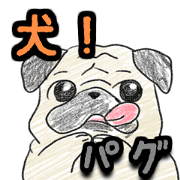 dog! sticker pug