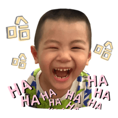 我的小黏黏壹貳號