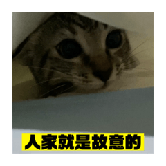 妳真是壞透ㄌ