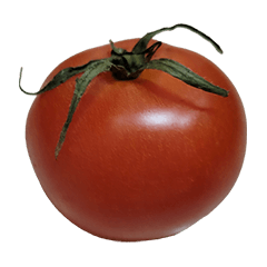 Food Series : Some Tomato