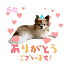 megumi_20221003171426