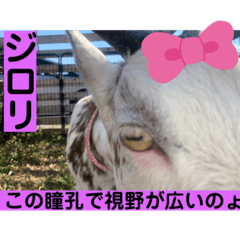 sayuri_20221003175152