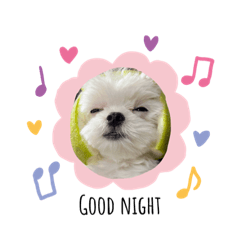 丸子ㄉ日常 第一彈