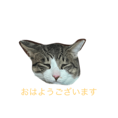 すてきな癒し - LINE スタンプ | LINE STORE