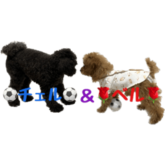 MilkTea_20221004015048