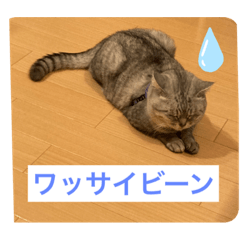 suzu_20221003194239