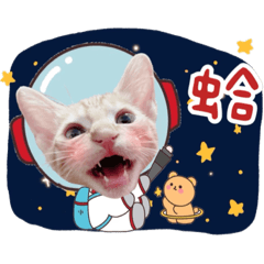 布丁&Q寶之太空日記