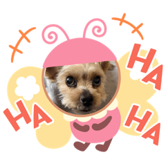 Ten chan 2