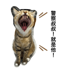 Bawan Life_20221003225153 – LINE stickers | LINE STORE