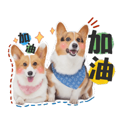 Woody&DiDi&Yuki 三隻狗狗的日常用語