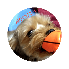 shiho_20221003192106