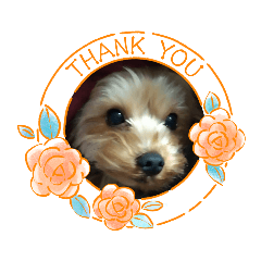 shiho_20221003192211