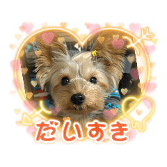 shiho_20221003192256