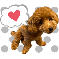 shiho_20221004100706