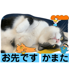 sayuri_20221005100417