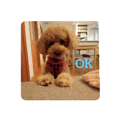 Alice_20221003211555