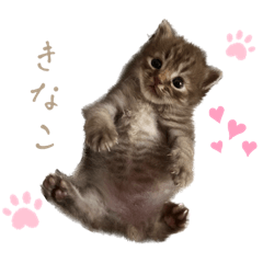 utinokinako