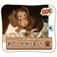 yukari_20221004201525