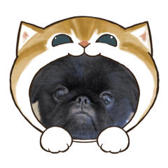 Loco Moco_20221004200220