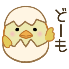 Chick piyokomalu