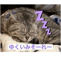 suzu_20221004222523