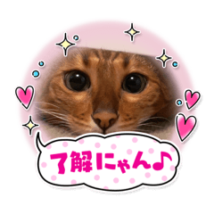 suzu_20221004225240