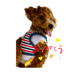 Rinrin_20221005113058