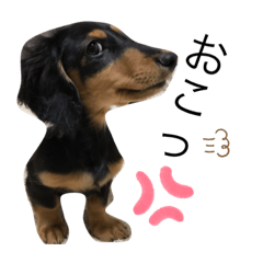 familyスタンプでぇ