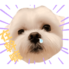 吧咕