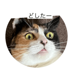 AOZORA_20221004223253