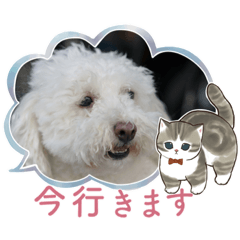 AzuTamaMochiMonaKina1