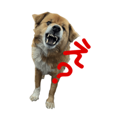 komatsu_mental_20221004234855