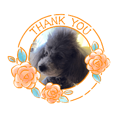 Asako_20221006040649