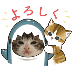 kii_2022061202170408