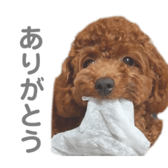 rina_20221005170328