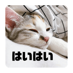 aoi_20221006034626