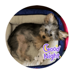 hikari_20221005155527