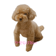 AzuTamaMochiMonaKina2
