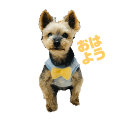 aska_20221005191236
